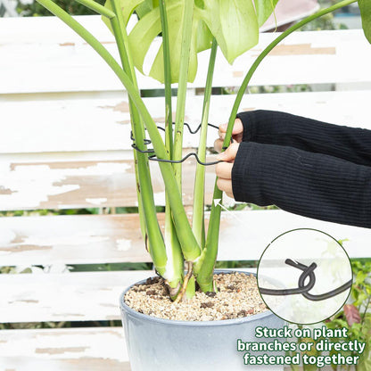 Yohsnor Monstera Plant Stem Support System - 5 Piece Set (5.5x4.7in) | Durable Plant Support Stakes for Climbing Plants & Fishbone Cactus | Ideal Leaf Stabilizer for Indoor Plants & Monstera Care
