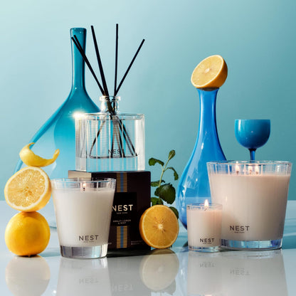NEST New York Reed Diffuser, Moroccan Amber - 5.9 fl oz - Fragrance for Up to 90 Days - Reusable, Refillable Glass Holder - Includes 8 All-Natural Reed Sticks - Flame Free