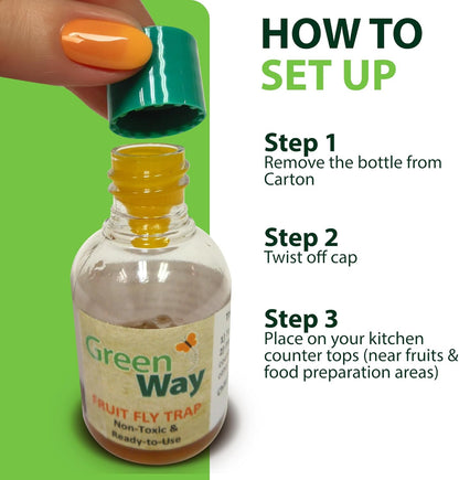 Greenway Traps Fruit Fly Trap, Indoor and Kitchen, Reduced Fruit Fly Infestations, Non-Toxic, Long-Lasting, 2 Packs (Includes 4 Traps)