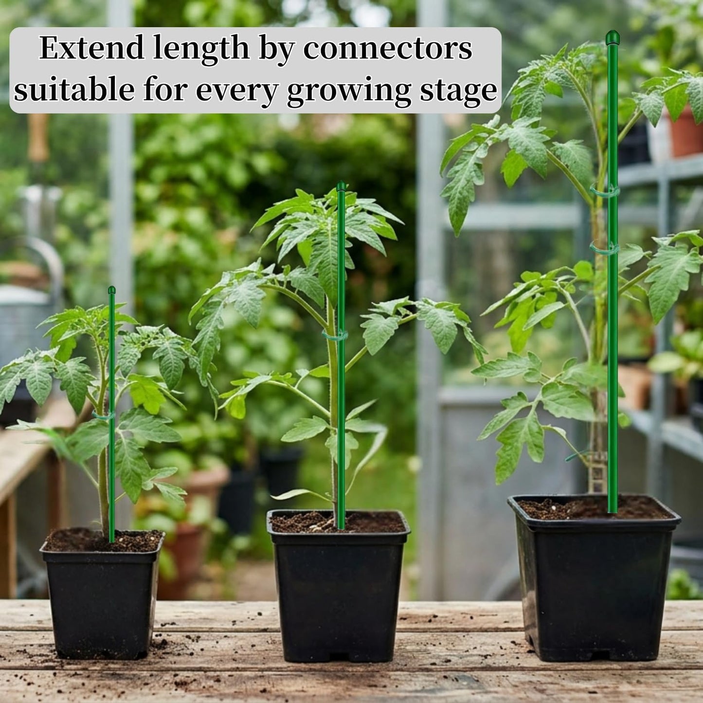 26Pcs Plant Support Combo, 5Pcs Stackable Monstera Plant Stakes Trellis+ 20Pcs Garden Clips + 1Pcs Ties, Moss Pole Alternative for Indoor Outdoor Climbing Vines Houseplants