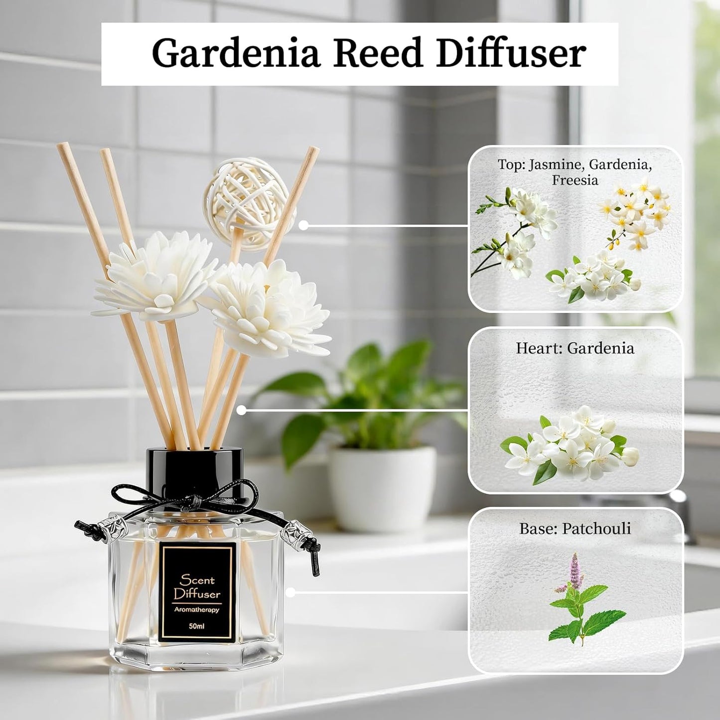 TonJin Reed Diffuser Set of 2 | 1.7 fl oz Natural Home Fragrance with Sticks | Long-Lasting Scented Sticks for Bathroom, Living Room & Bedroom | Non-Toxic Essential Oil Air Freshener Shangri-La