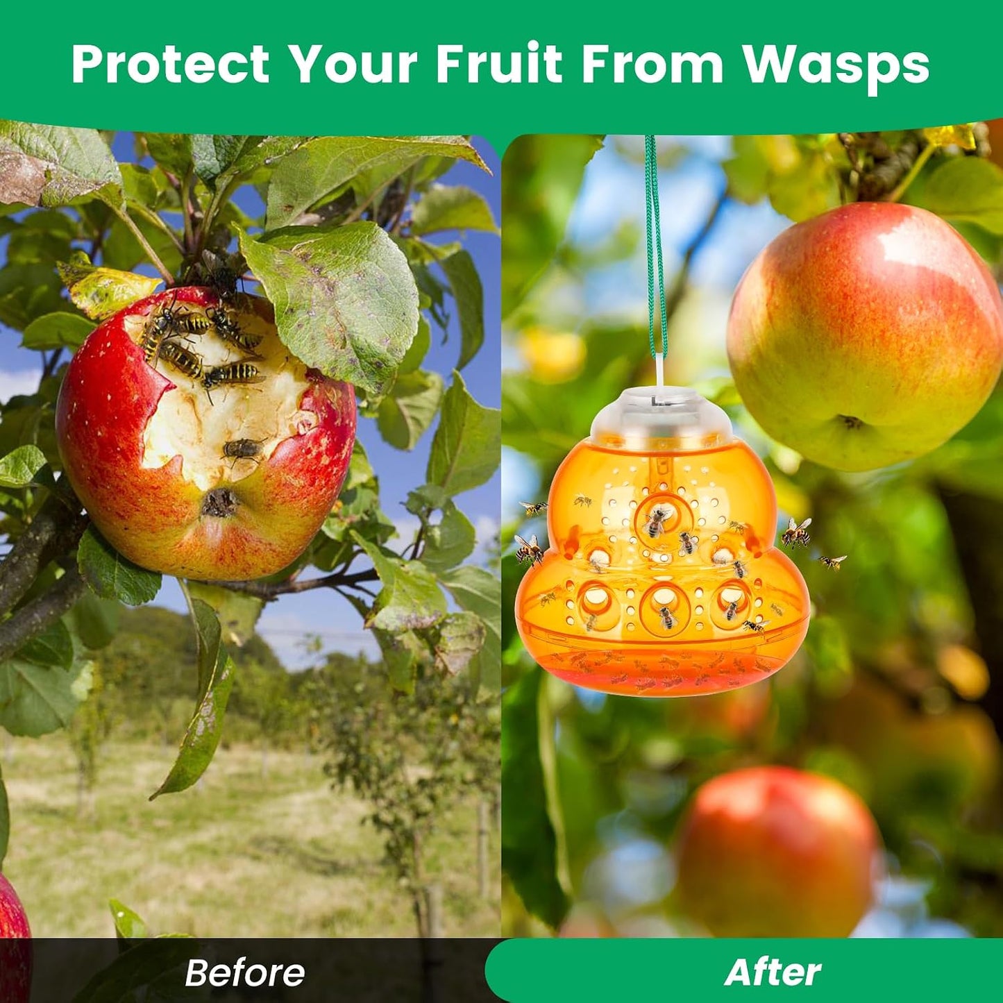 Solar Wasp Trap with Blue LED Light, Non-Toxic Reusable Hornet & Yellow Jacket Catcher, Outdoor Hanging Wasp Killer, 2 Pack - Amber