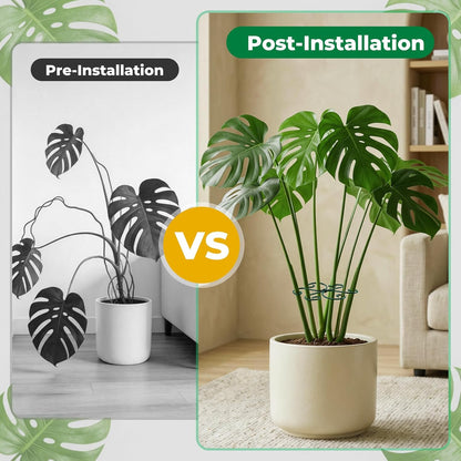 4PCS Monstera Plant Support, 4.1IN Green Metal Plant Stem Support Stakes, Adjustable Indoor Outdoor Potted Climbing Plant Stakes, Monstera Stabilizer Supports