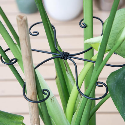 Yohsnor Monstera Plant Stem Support System - 5 Piece Set (5.5x4.7in) | Durable Plant Support Stakes for Climbing Plants & Fishbone Cactus | Ideal Leaf Stabilizer for Indoor Plants & Monstera Care