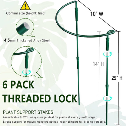 6 Pack Detachable & Assemblable Metal Plant Support Stakes - Garden Support Ring, Tomato Seedling Cage, Young Monstera/Pothos for Growing Indoor/Outdoor (10" W x 16" H)