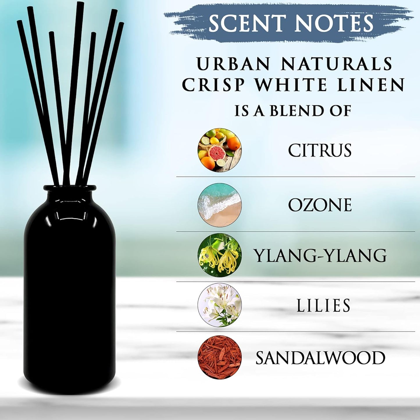 Urban Naturals Smoked Vanilla Reed Diffuser Set with Vanilla Bean, Sandalwood & Leather | Made in the USA - Colors B