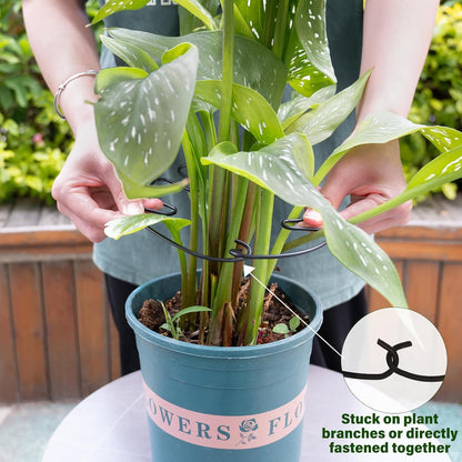 Yohsnor Monstera Plant Stem Support System - 5 Piece Set (5.5x4.7in) | Durable Plant Support Stakes for Climbing Plants & Fishbone Cactus | Ideal Leaf Stabilizer for Indoor Plants & Monstera Care