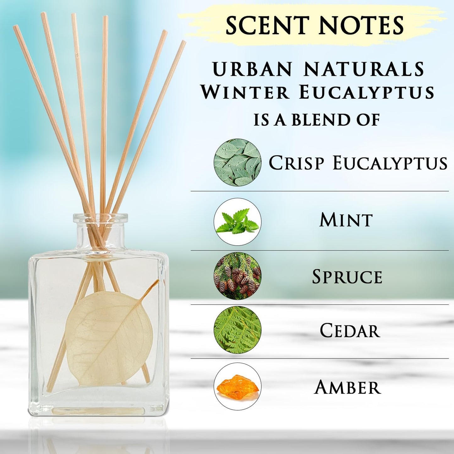 Urban Naturals Smoked Vanilla Reed Diffuser Set with Vanilla Bean, Sandalwood & Leather – 5 Ounce Sleek Black Rectangular Refillable Glass Bottle – Made in the USA