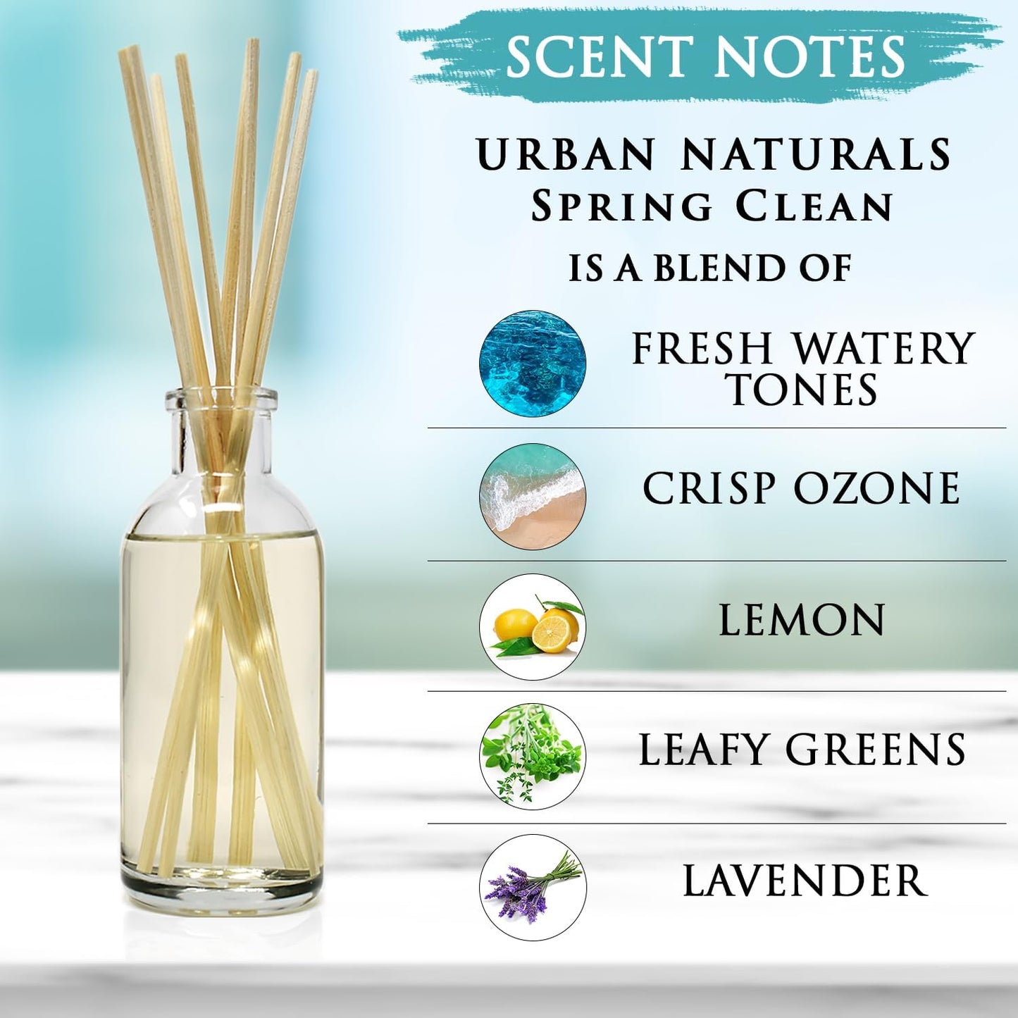 Urban Naturals Smoked Vanilla Reed Diffuser Set with Vanilla Bean, Sandalwood & Leather | Made in the USA - Colors C