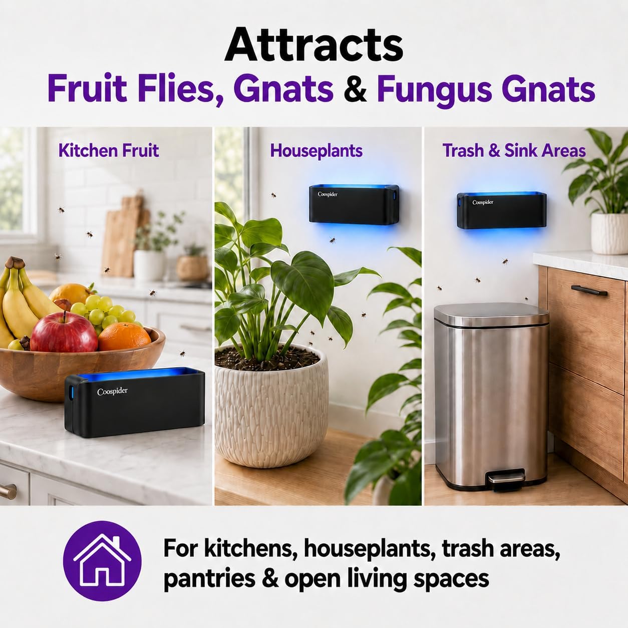 2 Pack UV Fruit Fly & Gnat Trap Indoor, Fungus Gnat Trap for Houseplants, Wall-Mounted Fly Light Trap with 10 Sticky Glue Boards, Quiet No-Zap Bug Catcher for Kitchen, Living Room, Bedroom