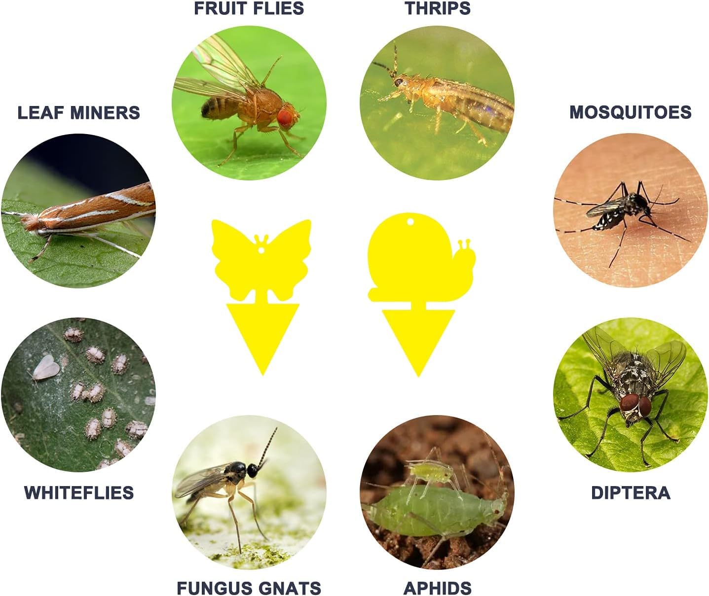 Gideal 36-Pack Dual-Sided Yellow Sticky Traps for Flying Plant Insect Fungus Gnats Flies Aphids Leafminers Thrips