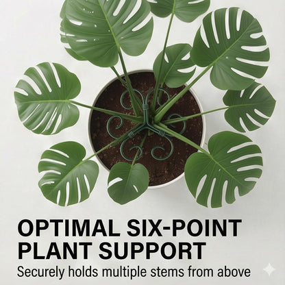 2Pack Green Iron Monstera Support,4.1 * 4.1IN Plant Support Stakes | for Indoor Plants,Durable Green Metal Plant Stem Supports-Easy Installation.