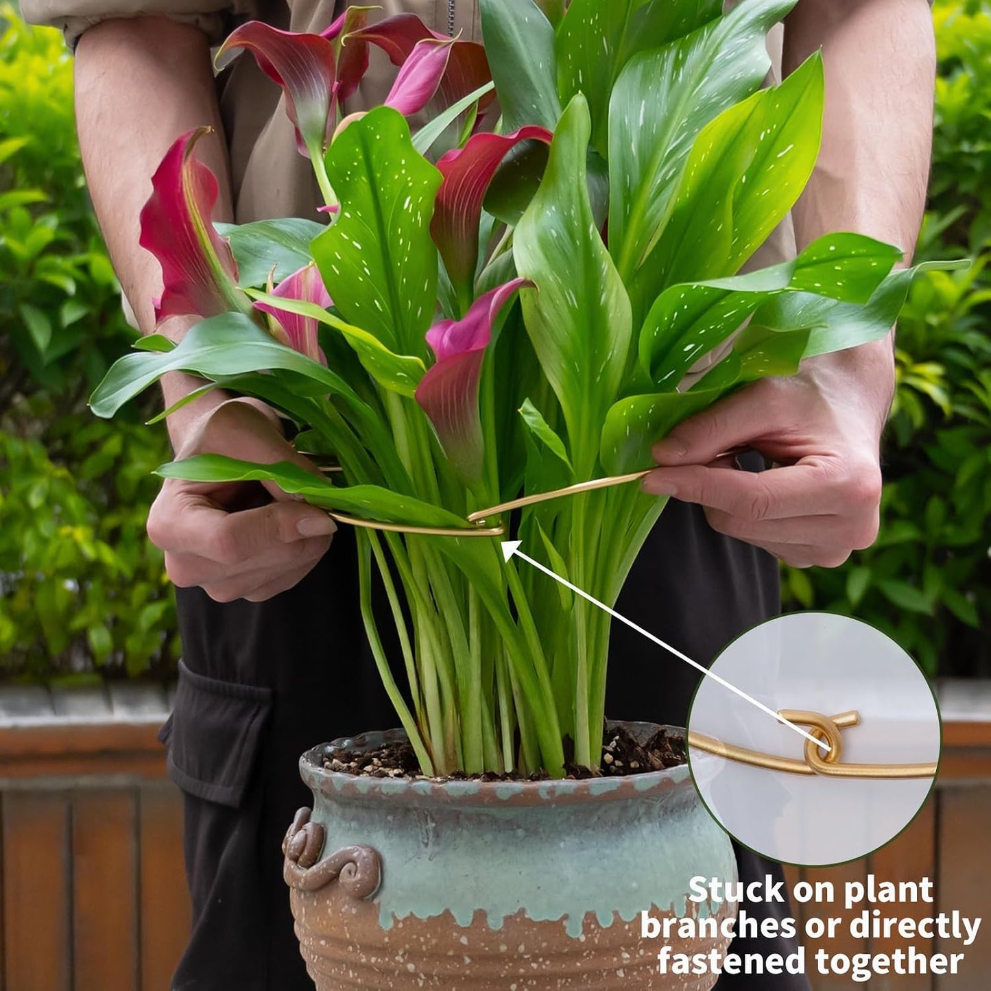 Yohsnor Monstera Plant Stem Support System - 5 Piece Set (5.5x4.7in) | Durable Plant Support Stakes for Climbing Plants & Fishbone Cactus | Ideal Leaf Stabilizer for Indoor Plants & Monstera Care