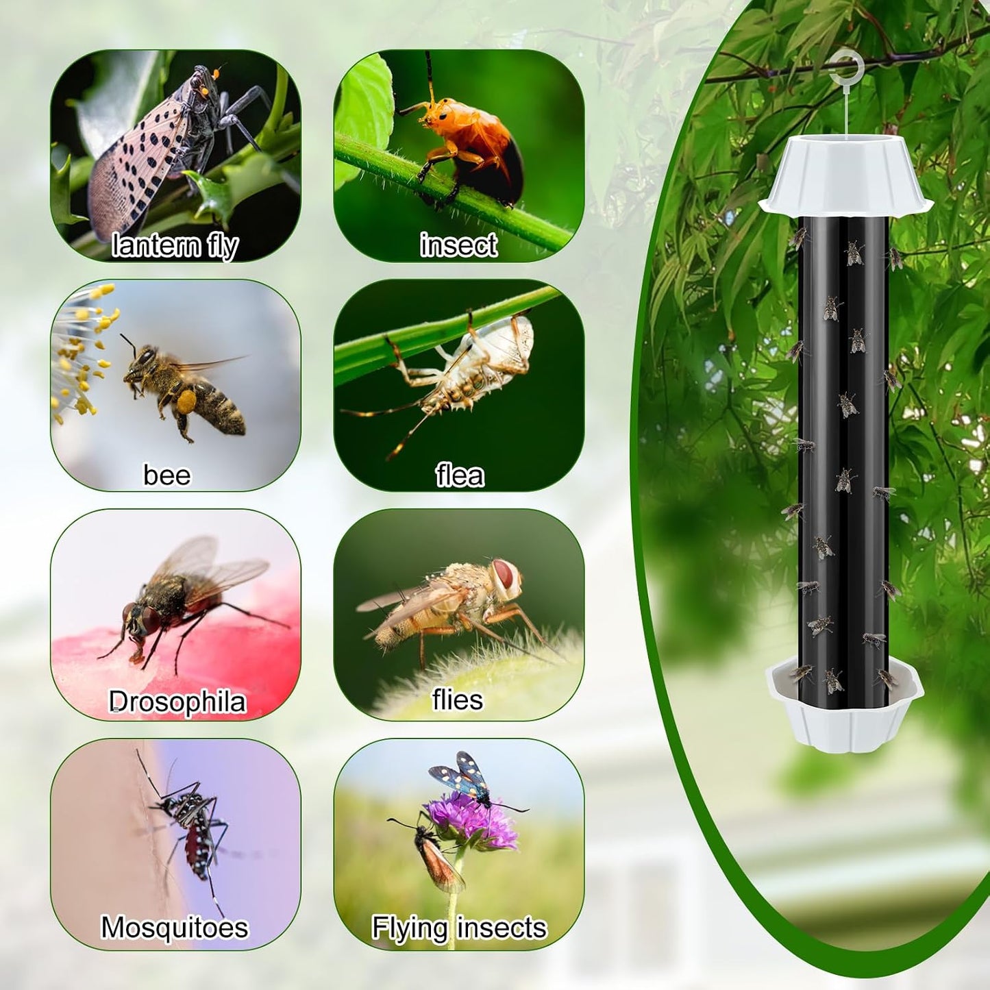 Qualirey 12 Pcs Sticky Fly Trap Fly Stick Indoor Outdoor Long Lasting Hanging Flies Bug Catcher Paper Tape Strips with Hook for Wasps Gnats Bug Insects Fruit Flies Mosquitoes (Stylish-3,Yellow)