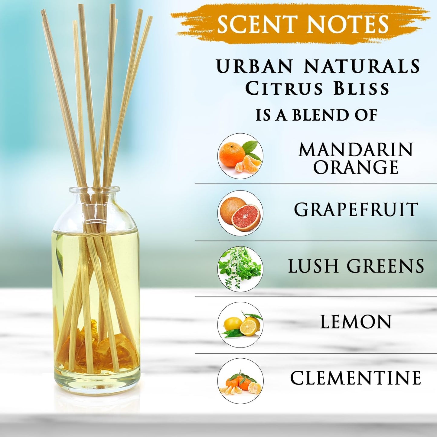 Urban Naturals Smoked Vanilla Reed Diffuser Set with Vanilla Bean, Sandalwood & Leather | Made in the USA - Colors B