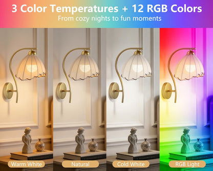 Battery Operated Wall Sconce Set of 2, Rechargeable Wireless Sconces with Dimmable Detachable Magnetic Bulbs and Remote, 3 Colors Wall Lights for Bedroom Living Room Hallway Fireplace