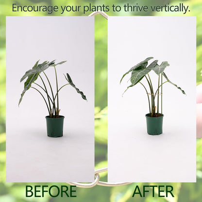 5PCS Monstera Plant Stem Support Stakes - 5.5 * 5.5IN Metal Supports for Monstera and Fishbone Cactus, Sturdy Frame, Easy Installation, Flexible Protection for Healthy Growth Indoors