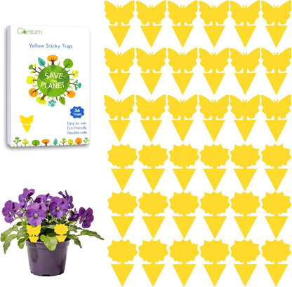 Garsum 36 Pack Fungus Gnat Traps Sticky Fruit Fly Trap Killer for Kitchen Indoor and Outdoor, Insect Fly Traps for House Plants, Whitefly, Mosquito Bits, Flying Insects