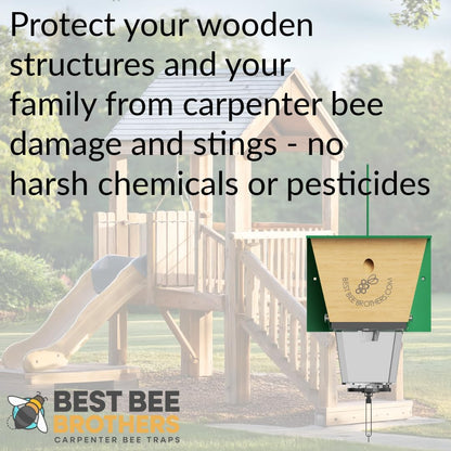 Best Bee Brothers Ultimate Pro Carpenter Bee Trap for Outside with Extra-Large, Clear External Receptacle, Internal Bee Vault & Spring-Loaded Door, 4.2” D x 5.8” W x 7.5” H (2 Pack)