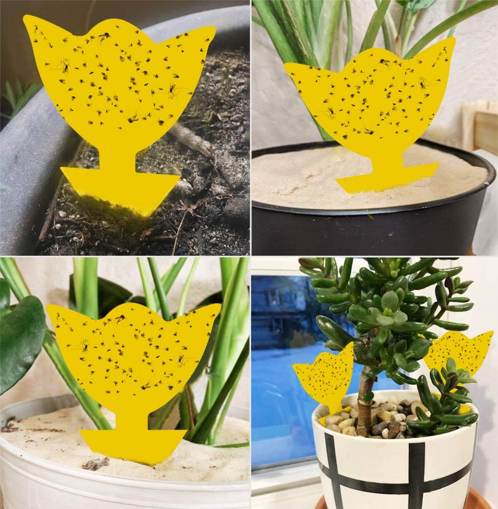 Yellow Sticky Fruit Fly Trap 54 Pack, Gnat Traps for Indoor House Plants | Catches Fungus Gnats, Fruit Fly, Whitefly, Aphid, Leaf Miner, No Harm & Odorless, Safe For Indoor Garden & Outdoor Plant Use