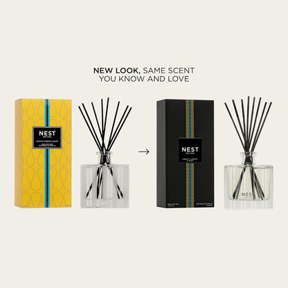 NEST New York Reed Diffuser, Moroccan Amber - 5.9 fl oz - Fragrance for Up to 90 Days - Reusable, Refillable Glass Holder - Includes 8 All-Natural Reed Sticks - Flame Free