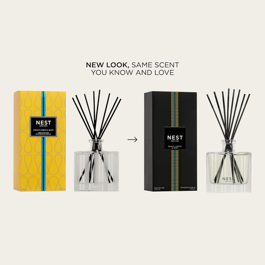 NEST New York Reed Diffuser, Moroccan Amber - 5.9 fl oz - Fragrance for Up to 90 Days - Reusable, Refillable Glass Holder - Includes 8 All-Natural Reed Sticks - Flame Free