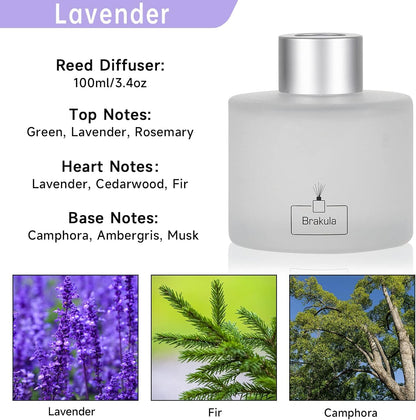 Brakula Reed Diffuser Set, 100ml Black Vanilla Scented Oil Diffuser for Bathroom, Home Fragrance for Living Room, Office
