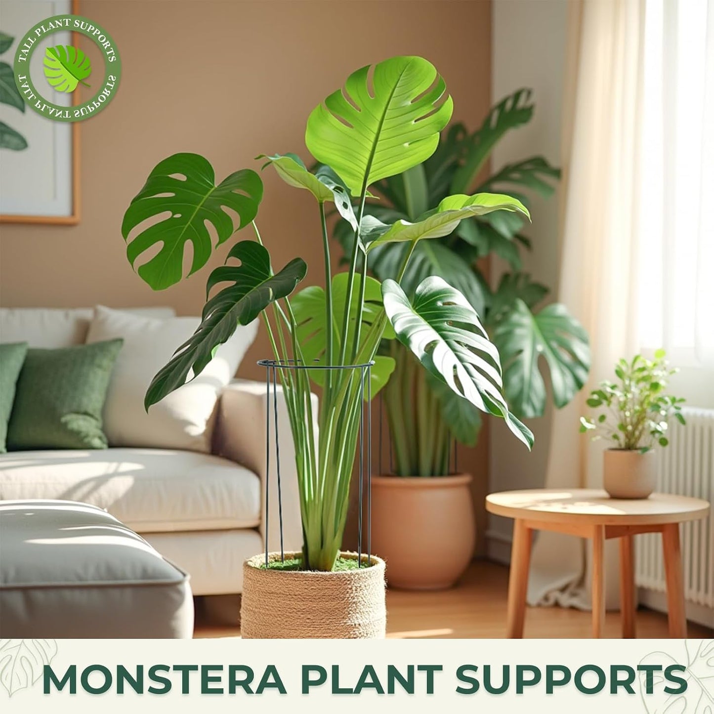 LEOBRO Plant Support, 8PCS Peony Cages and Supports, Plant Stakes for Indoor Plants, Outdoor Plants, Metal Garden Stakes, Plant Holders, Tomato Monstera Hydrangea Support Cage, 10" W x 15.8" H