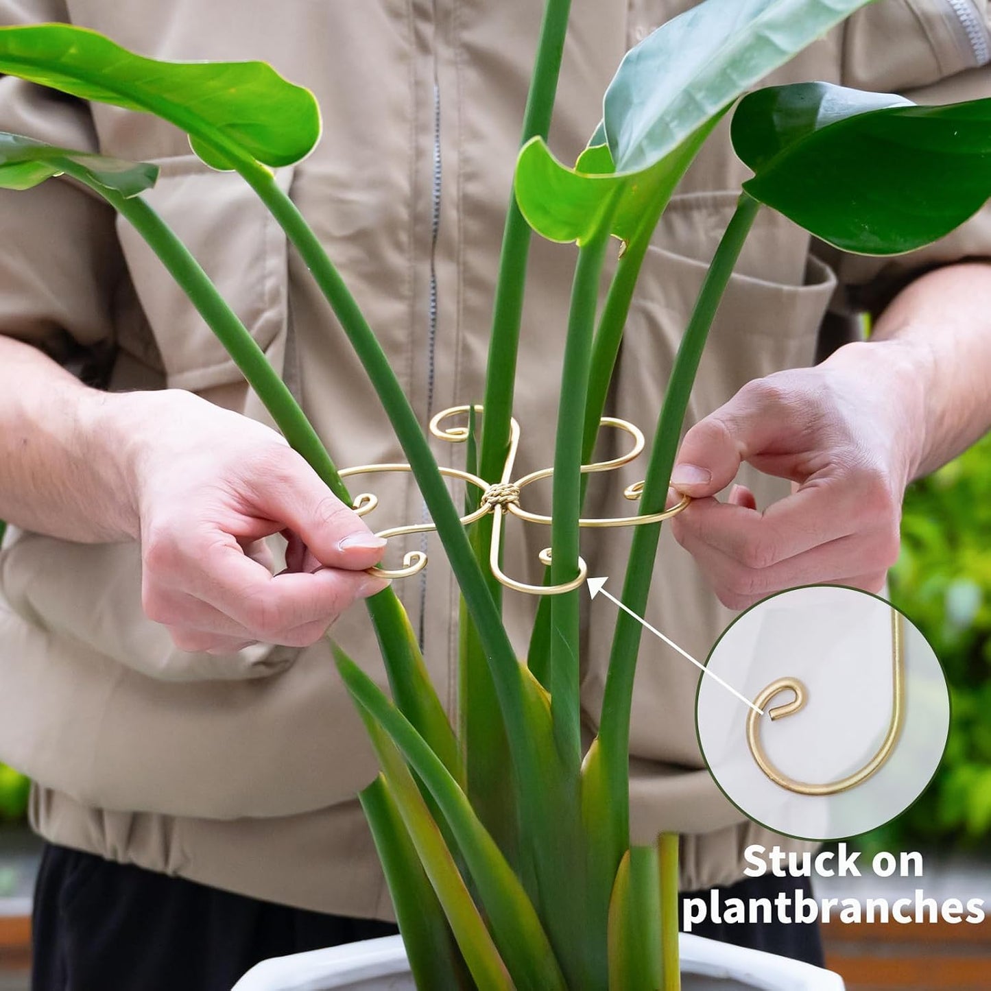 5PCS Monstera Plant Stem Support Stakes - 5.5 * 5.5IN Metal Supports for Monstera and Fishbone Cactus, Sturdy Frame, Easy Installation, Flexible Protection for Healthy Growth Indoors