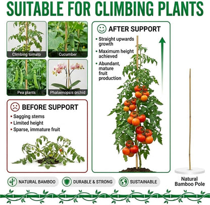 Plant Stakes Natural Bamboo Sticks - 30 Pcs Bamboo Garden Stakes for Plants 4.8 FT Plant Support Sticks with Twist Ties for Tomatoes Beans Flowers Indoor Outdoor Potted Climbing Plants