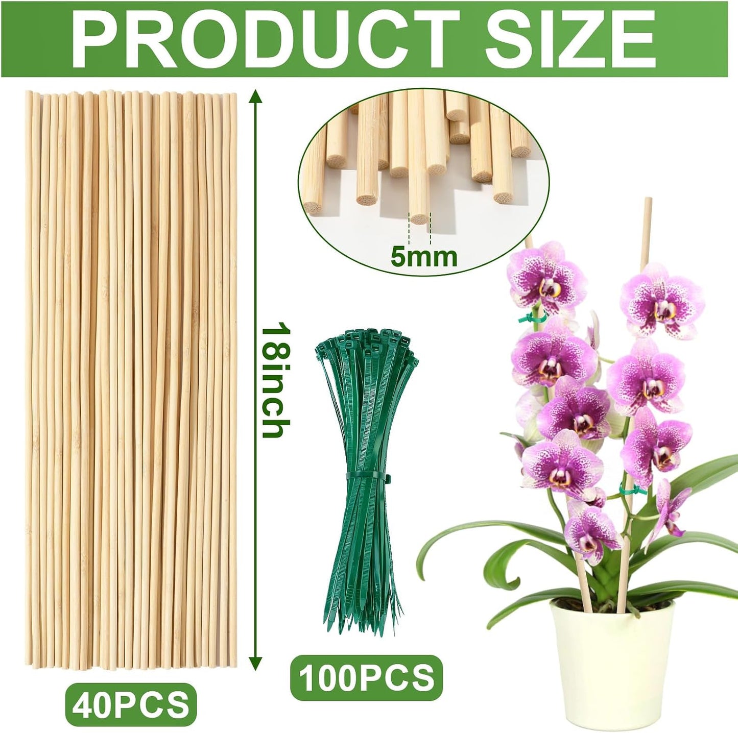 AUGSHY Plant Stakes 18 Inch, 40 PCS Natural Bamboo Garden Stakes | Eco-Friendly Reusable Natural Bamboo Material Splinter-Free Polished Surface Balanced Strength & Adjustable Support