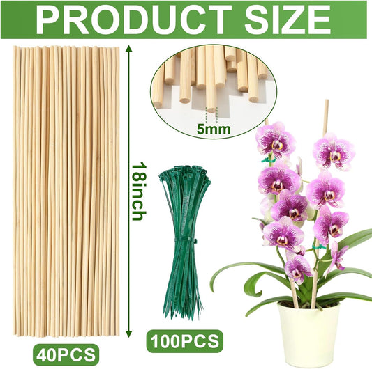 AUGSHY Plant Stakes 18 Inch, 40 PCS Natural Bamboo Garden Stakes | Eco-Friendly Reusable Natural Bamboo Material Splinter-Free Polished Surface Balanced Strength & Adjustable Support