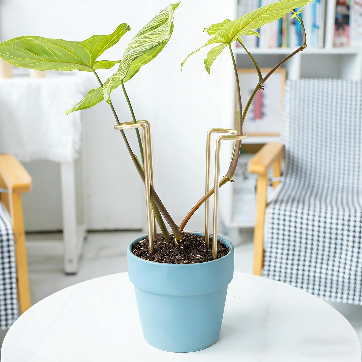 10 Pack Indoor Plant Support for Monstera Trellis Stakes and Stem Holder - Perfect for Small Indoor Plants, Desktop Gardens & Flower Shelf Use, Easy to Set Up and Efficient Support