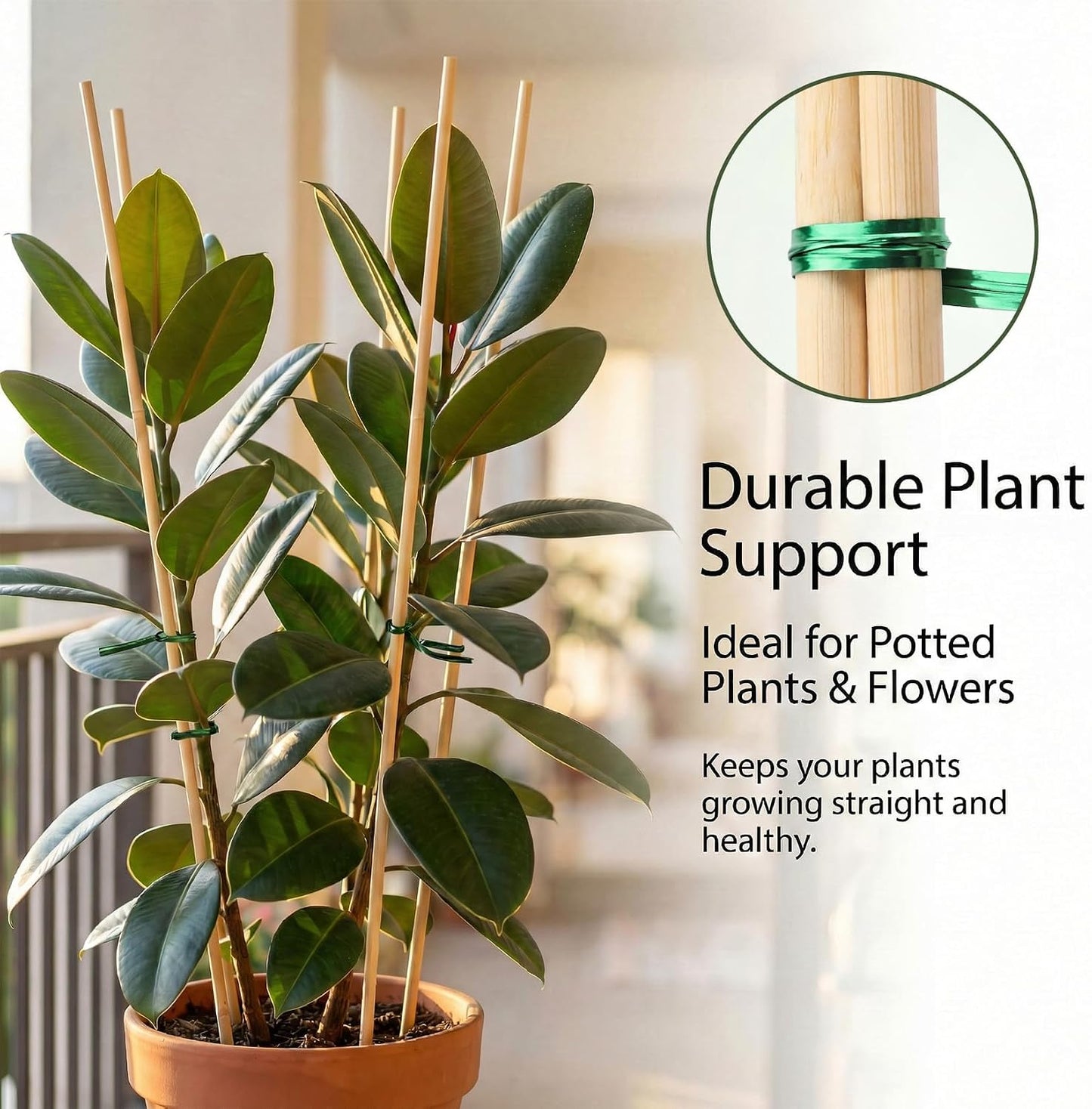 Plant Stakes for Indoor Plants – MAQIHAN 40PCS Plant Support Sticks, 9.8 Inch Stakes for Potted Plants, Orchids & Seedlings, Garden Stake with 30pcs Green Ties
