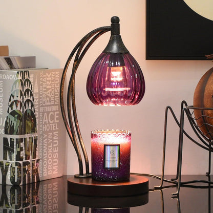 Candle Warmer Lamp with Timer Dimmer - Electric Light Wax Warmer for Jar Candles - Lamp with 2 Bulbs, Unique Birthday Gifts for Women Mom House Warming Gifts New Home Decor