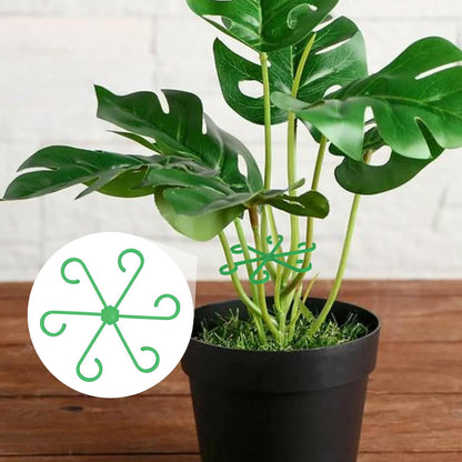 Brimoon 8pcs Plant Stem Support for Indoor Plants, 4 Sizes Reusable Monstera Plant Stem Stabilizer, Plant Stem Holder for Thriving Growth