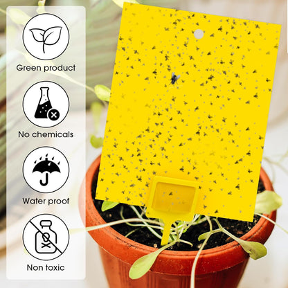 Qualirey 220 Pcs 7.9 x 4 Inch Yellow Sticky Traps for Plant Gnats Dual Sided Fruit Fly Sticky Traps for Indoors Outdoors with Twist Ties & Plastic Holders for Insect, Fungus Gnats, Whiteflies, Aphids