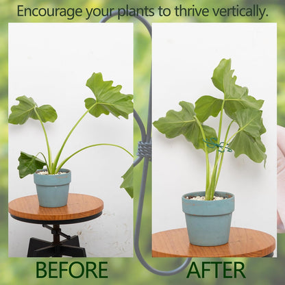 Yohsnor Monstera Plant Stem Support System - 5 Piece Set (5.5x4.7in) | Durable Plant Support Stakes for Climbing Plants & Fishbone Cactus | Ideal Leaf Stabilizer for Indoor Plants & Monstera Care