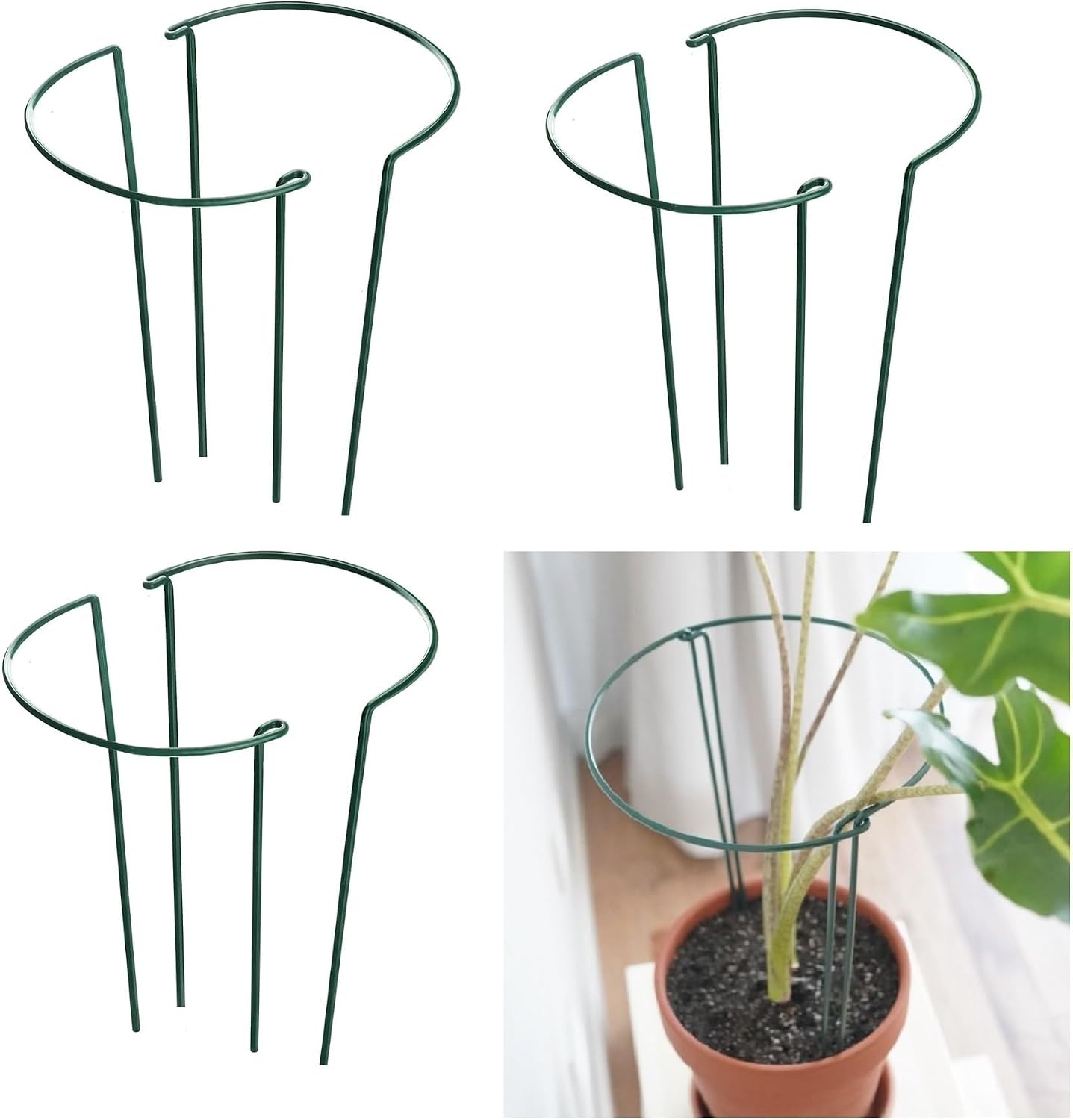 6 Pack 15.8 Inch High Plant Stake,Garden Plant Support,Half-Round Peony Cage Plant Ring Hoop