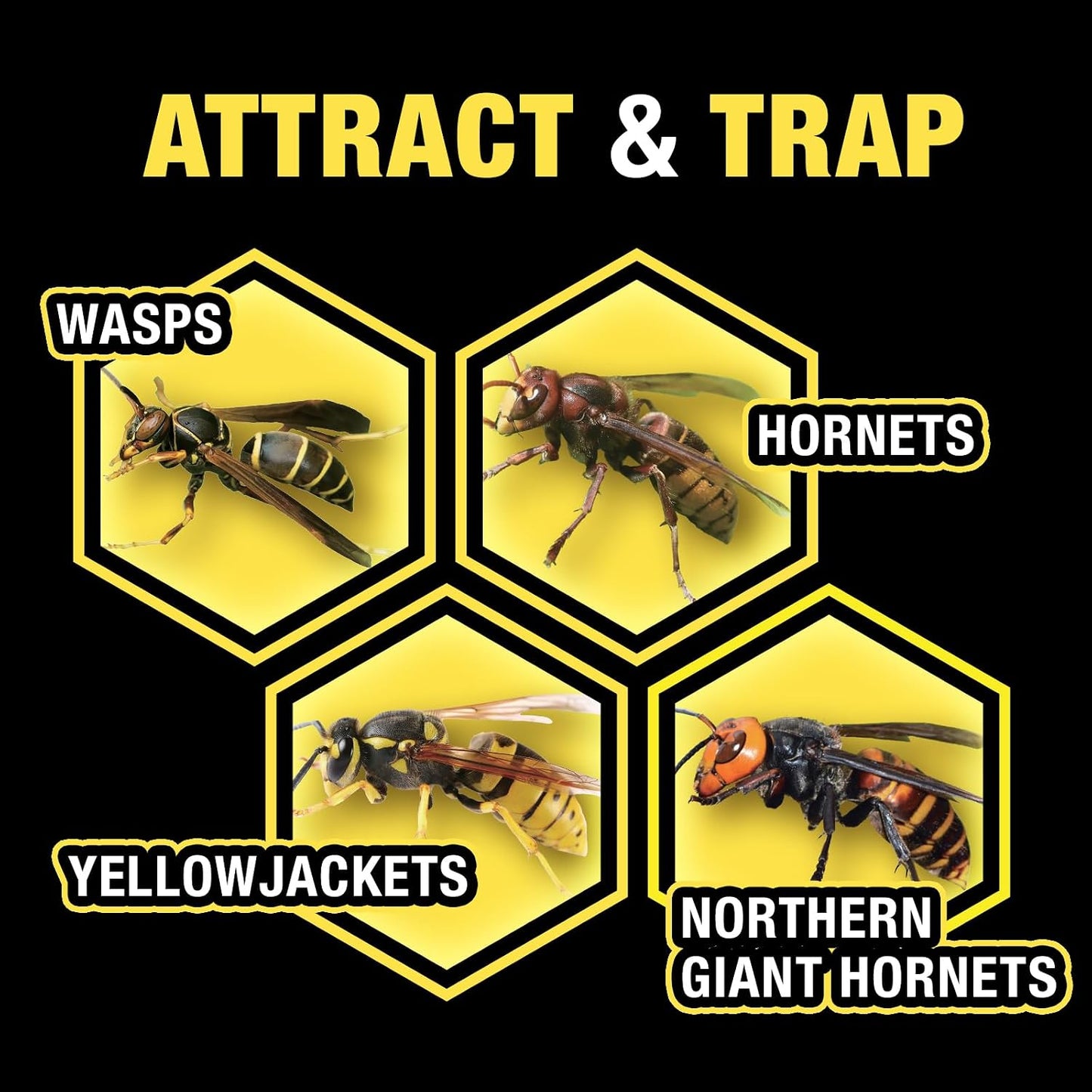 HOY HOY Wasp Trap (1 Unit) - Outdoor Hanging Trap for Yellowjackets, Wasps, Hornets, and Northern Giant Hornets, Food-Based Attractant, Safe, Easy Setup, Up to 30 Days Protection, Made in Japan