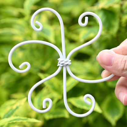 Yohsnor Monstera Plant Stem Support System - 5 Piece Set (5.5x4.7in) | Durable Plant Support Stakes for Climbing Plants & Fishbone Cactus | Ideal Leaf Stabilizer for Indoor Plants & Monstera Care
