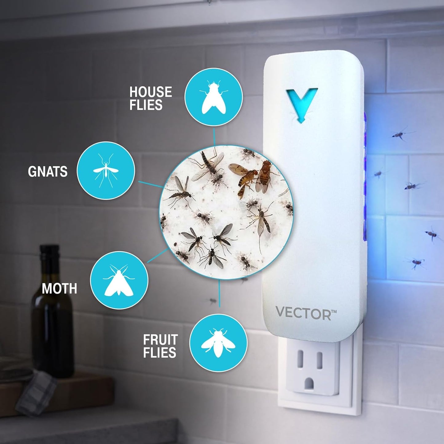 Catchmaster Vector 9 UV Light Plug in Flying Insect Trap - Silent Indoor Bug Catcher for House & Fruit Flies, Gnats & Moths - Mess-Free Easy Setup & Cleanup - with 12 Glue Trap Refills, Year Supply