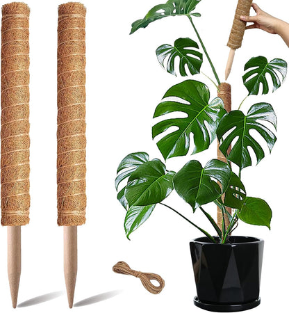 Moss Pole, 4Pack 21 Inch Plant Support Stakes for Indoor Plants, Monstera Plant Support Stakes, 69 Inch Tall Coir Plant Pole Sticks for Potted Plants, Pothos, Philodendron, Climbing Plants Accessories
