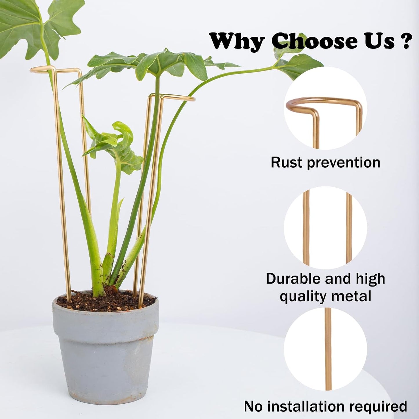 10 Pack Indoor Plant Support for Monstera Trellis Stakes and Stem Holder - Perfect for Small Indoor Plants, Desktop Gardens & Flower Shelf Use, Easy to Set Up and Efficient Support