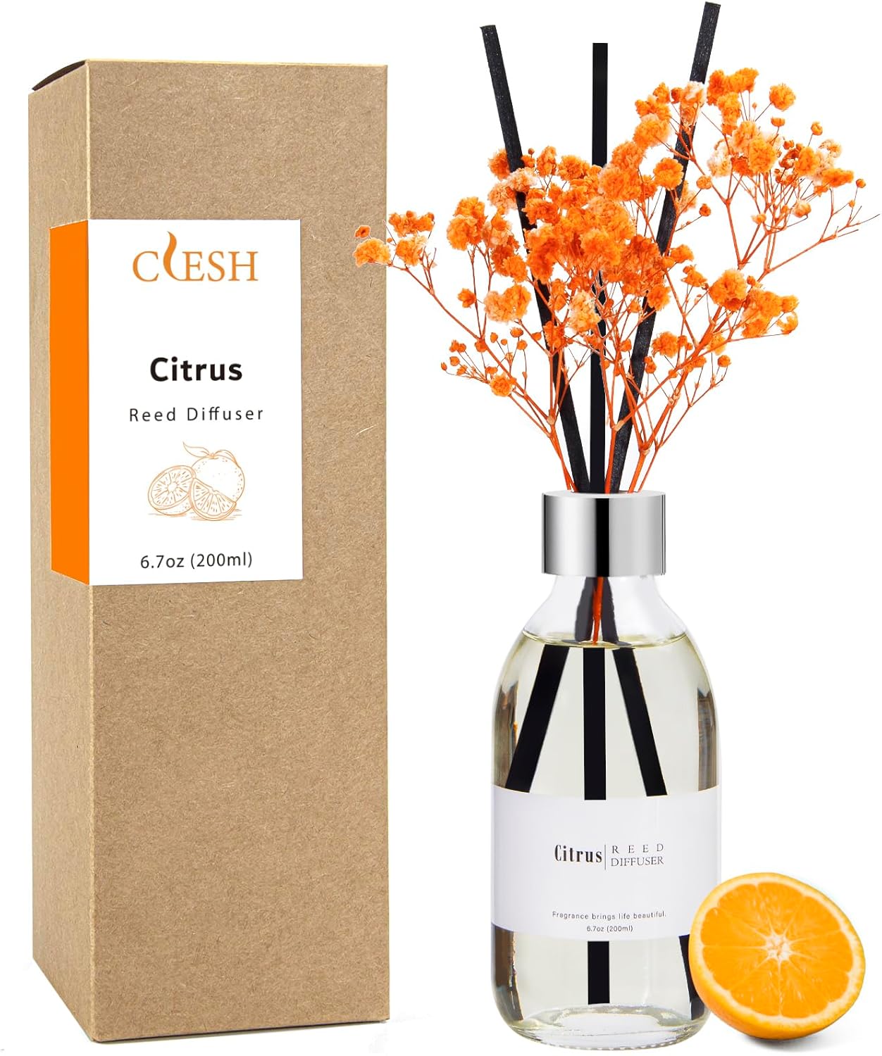 Clesh Reed Diffuser Set, 6.7 oz Eucalyptus Scented Diffuser with Sticks, Home Fragrance Reed Diffuser for Bathroom Shelf Decor
