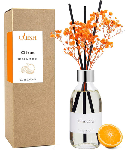 Clesh Reed Diffuser Set, 6.7 oz Eucalyptus Scented Diffuser with Sticks, Home Fragrance Reed Diffuser for Bathroom Shelf Decor