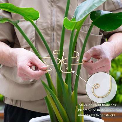 Yohsnor Monstera Plant Stem Support System - 5 Piece Set (5.5x4.7in) | Durable Plant Support Stakes for Climbing Plants & Fishbone Cactus | Ideal Leaf Stabilizer for Indoor Plants & Monstera Care