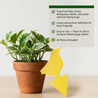 Kate's Home & Garden 36 Count Fruit Fly Traps for Indoors and House. Yellow Sticky Trap for Gnats, Mosquitos, Plants, Ants