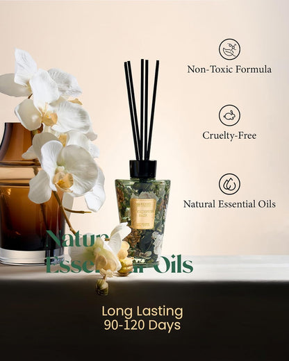M&SENSE Reed Diffuser Set, Jasmine Sandalwood Scented 6.3 fl oz Natural Essential Oil Diffusers with Sticks, Non-Toxic Organic Air Freshener, Long-Lasting Fragrance Oils for Home Bathroom Living Room