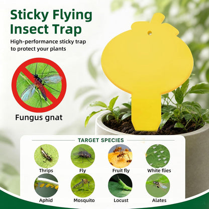 40 Pcs 5 Shapes Yellow Extremely Sticky Traps for Fungus Gnat, Fruit Fly, Fly, Whitefly, Flying Insect Catcher Traps for Houseplants, Kitchen, Indoor/Outdoor, Non-Toxic, Odorless, Pet and Kid Safe